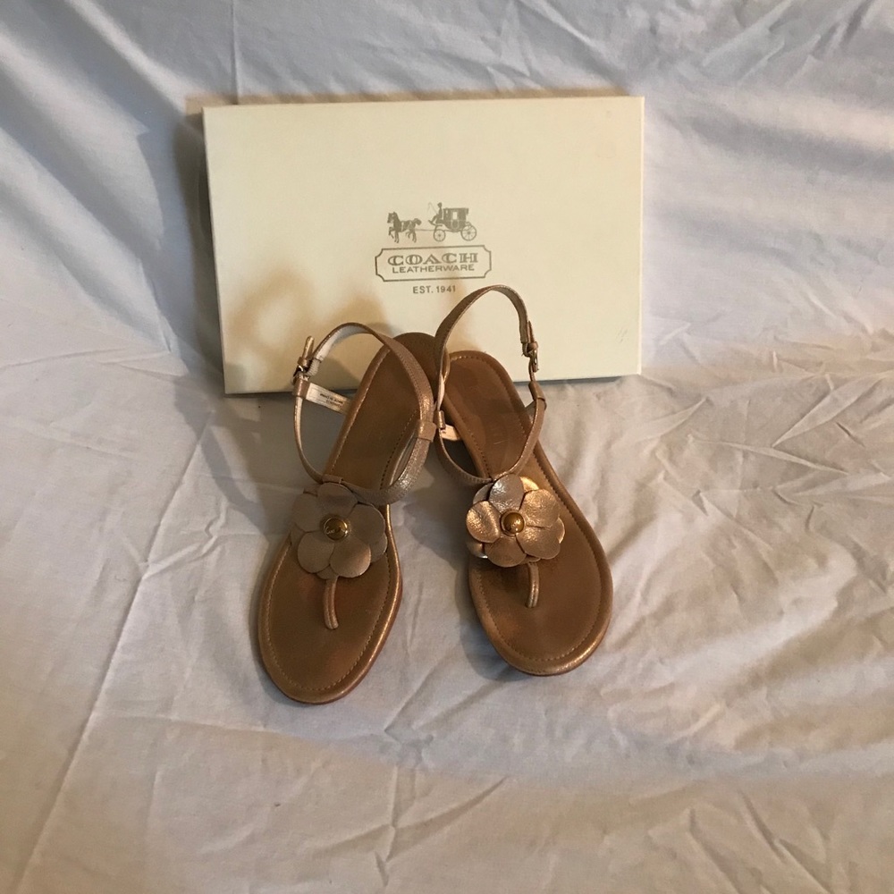 Golden Coach Sandals